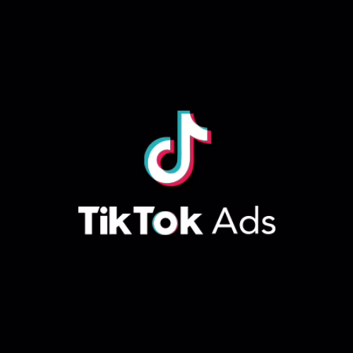 TikTok Ads